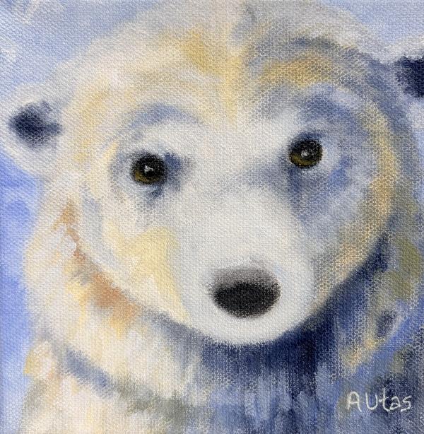 Polar Bear Cub